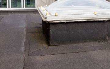disadvantages of Carnedd flat roofs