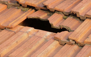 roof repair Carnedd, Powys