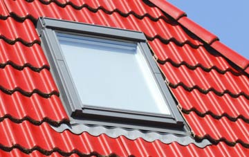 roof windows Carnedd, Powys