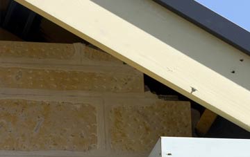 soffit repair Carnedd