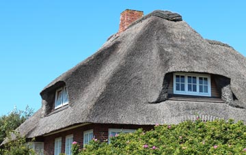 thatch roofing Carnedd, Powys